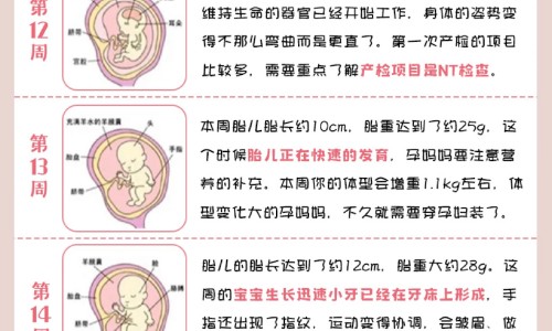 月经期用药酒按摩吗-专业经期用药酒搓背有什么影响平台-经期用药酒搓背有什么影响