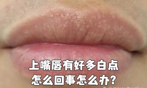 月经期可以抹药酒吗-月经期用药酒按摩吗-专业经期用药酒搓背有什么影响平台-经期用药酒搓背有什么影响